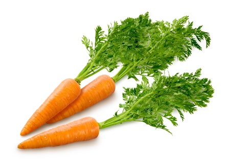 a carrot: Cà rốt cách ly trên nền trắng