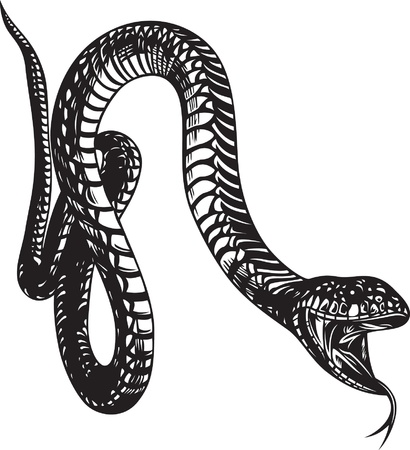 Big snake with open mouth, black and white style