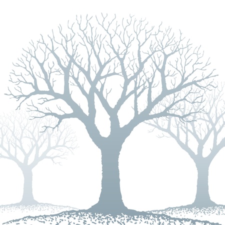 Tree Vector Illustration