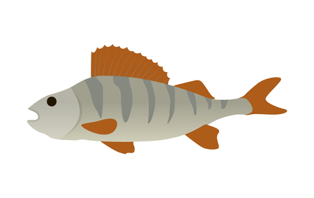 926 鰓 のイラスト素材 ベクター 123rf 926 鰓 のイラスト素材 ベクター 123rf