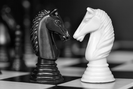 41,572 Chess Knight Stock Photos and Images - 123RF