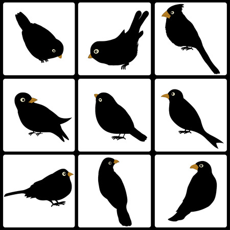 白の正方形のかわいい黒い鳥のセット のイラスト素材 ベクタ Image
