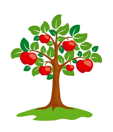 apple tree stock photos