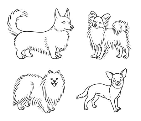 Dogs Of Different Breeds In Outlines Welsh Corgi Papillon Royalty Free Cliparts Vectors And Stock Illustration Image Dogs Of Different Breeds In Outlines Welsh Corgi Papillon Royalty Free Cliparts Vectors And Stock Illustration Image