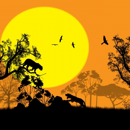 Sunset landscape vector: Mèo hoang trong cảnh quan thiên nhiên hoang dã vào lúc hoàng hôn, minh hoạ vector