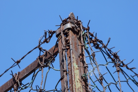 Old Barbed Wire Fence Old Barbed Wire Fence
