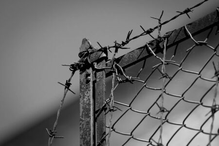 Old Barbed Wire Fence Old Barbed Wire Fence