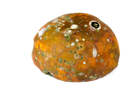 Rotten papaya on white background, fungus in papaya