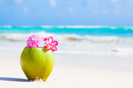 coconut: hai cocktail dừa tươi trên bãi biển nhiệt đới với hoa Kho ảnh