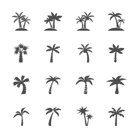 coconut: cây dừa bộ icon, vector eps10. Hình minh hoạ