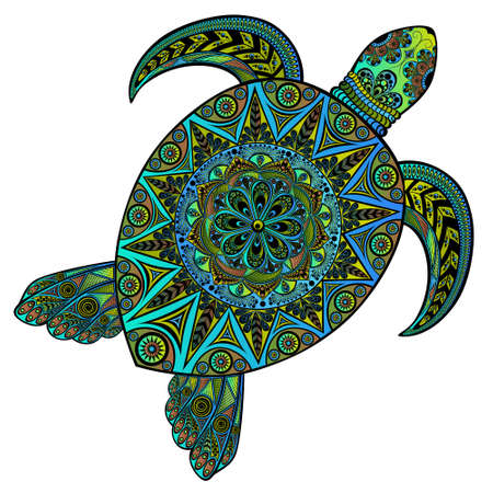 12 021 Turtle Shell のイラスト素材 ベクター 123rf