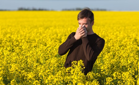 彼の鼻を吹くと花粉症に苦しんでの黄色の菜の花畑での若い男 の写真素材 画像素材 Image