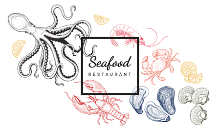 seafood oyster sea scallop crab shrimp lobster octopus scallop templates