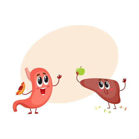 かわいい 面白い 人間の胃と肝臓の文字 消化器系の笑みを浮かべて 漫画のベクトル図を分離しました 健康なヒトの胃医療コンセプトのイラスト素材 ベクタ Image