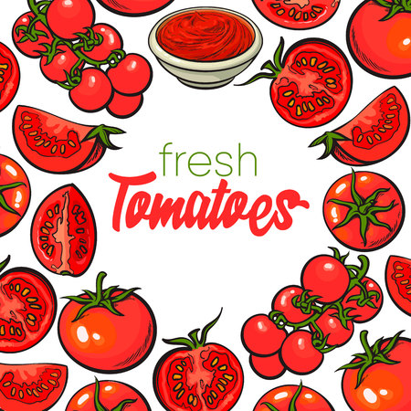 熟した赤いトマト サルサ ケチャップ ボウルとテキスト バナーは 白い背景で隔離のベクトル図をスケッチします バナー ラベル デザイン 完熟トマトとソースの装飾要素 のイラスト素材 ベクタ Image