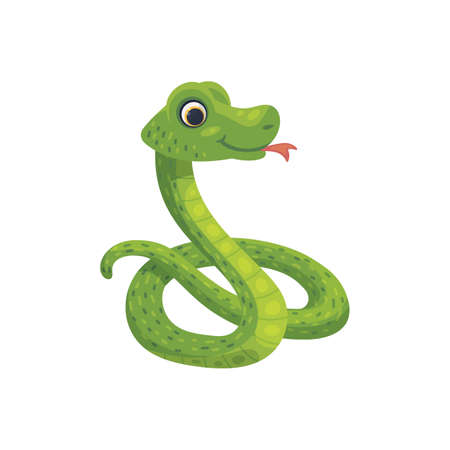 Green funny snake curled up in a ball, flat vector illustration isolated. Stock Photo