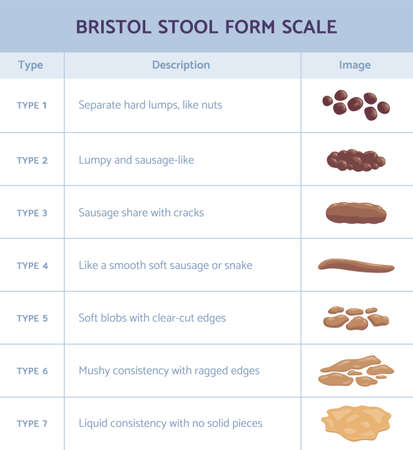 Bristol ontlasting vorm schaal infographic met uitwerpselen type platte vectorillustratie.
