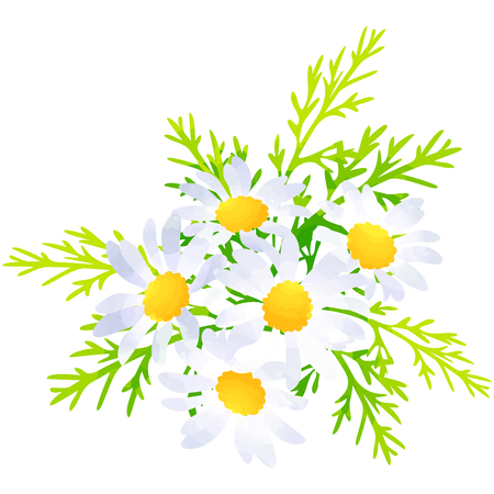 221 マーガレット のイラスト素材 ベクター 123rf 221 マーガレット のイラスト素材 ベクター 123rf