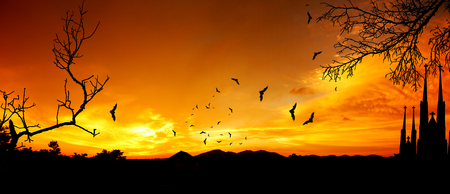 halloween background bat forest and dead trees stock photo