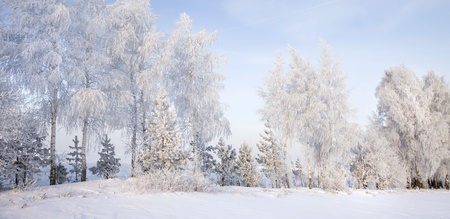 19880050-walk-through-the-