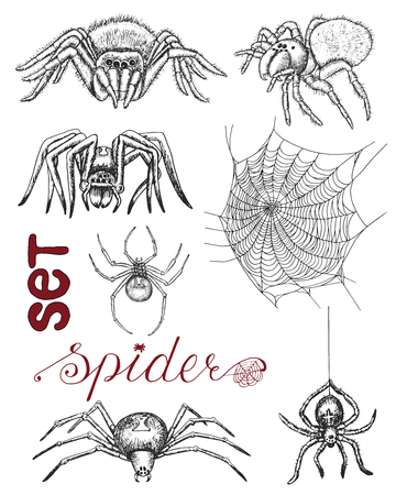 ブラック未亡人のスパイダーとオレンジ色の背景の蜘蛛の巣の怖いのシームレスなパターン ハロウィン落書きイラストや手描画繰り返し背景のイラスト素材 ベクタ Image ブラック未亡人のスパイダーとオレンジ色の背景の蜘蛛の巣の怖いのシームレスなパターン ハロウィン落書きイラストや手描画繰り返し背景のイラスト素材 ベクタ Image