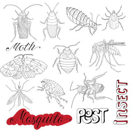 手描きは 害虫 吸血昆虫 蚊 ダニ バグ ゴキブリの分離を設定します ライン アート イラストやアイコンを持つ侵略者ベクター グラフィック スケッチを落書き のイラスト素材 ベクタ Image 手描きは 害虫 吸血昆虫 蚊 ダニ バグ ゴキブリの分離を設定します ライン アート イラストやアイコンを持つ侵略者ベクター グラフィック スケッチを落書き のイラスト素材 ベクタ Image