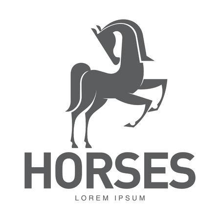 horse profile graphic logo template vector illustration on white horse body outline