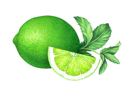 白い背景に花とレモン スライス 手描き水彩イラスト の写真素材 画像素材 Image 白い背景に花とレモン スライス 手描き水彩イラスト の写真素材 画像素材 Image