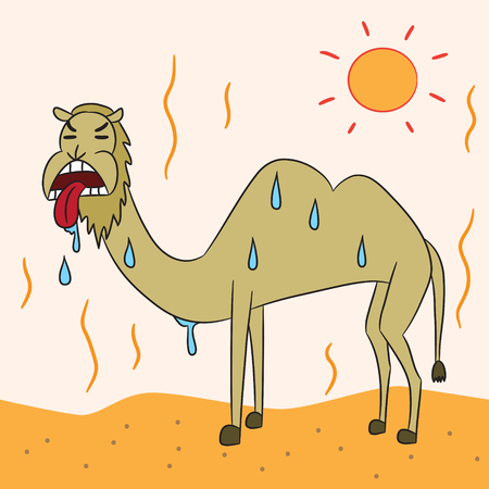 Vector cartoon character camel desert Stock Photo