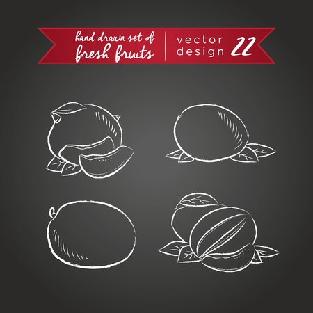 Mango. set of fresh fruits, whole, half and bitten with leaf. vector illustration keywords: isolated on blackboard. |