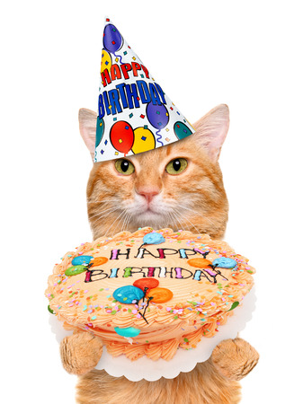 誕生日猫