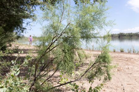 Blgdxun W7l2um Blgdxun W7l2um