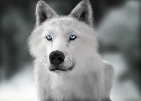 Illustration D Un Loup Blanc Sauvage Aux Yeux Bleus Et Fond L Hiver Photo Realiste Rendu 3d Banque D Images Et Photos Libres De Droits Image