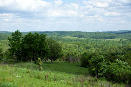 A Beautiful Summer Southern Missouri Landscape