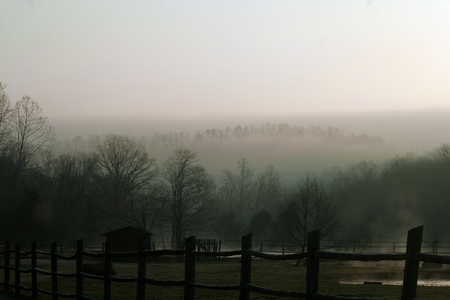 A Foggy Morning On A Farm In Rural Missouri