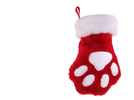 red and white christmas stocking with paw print isolated on white background stock photo 3502323 - Red And White Christmas Stockings red and white christmas stocking with paw print isolated on white background stock photo 3502323 - Red And White Christmas Stockings