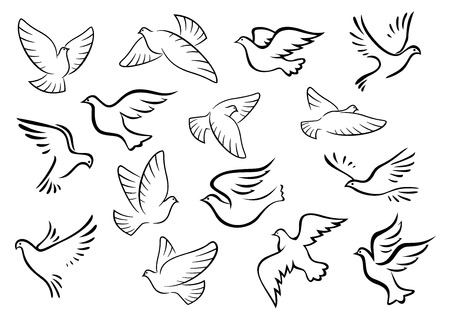 dove sketch