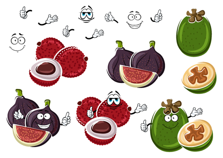 新鮮なイチジク ライチのエキゾチックな熱帯のフェイジョアの果実は 白で隔離緑を漫画します 面白い果物菜食主義者エキゾチックなデザートは トロピカル カクテル レシピ デザインの使用文字 のイラスト素材 ベクタ Image 新鮮なイチジク ライチのエキゾチックな熱帯のフェイジョアの果実は 白で隔離緑を漫画します 面白い果物菜食主義者エキゾチックなデザートは トロピカル カクテル レシピ デザインの使用文字 のイラスト素材 ベクタ Image