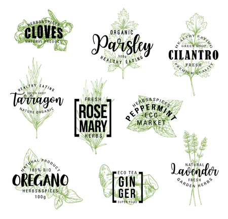 16 913 パセリ のイラスト素材 ベクター 123rf 16 913 パセリ のイラスト素材 ベクター 123rf