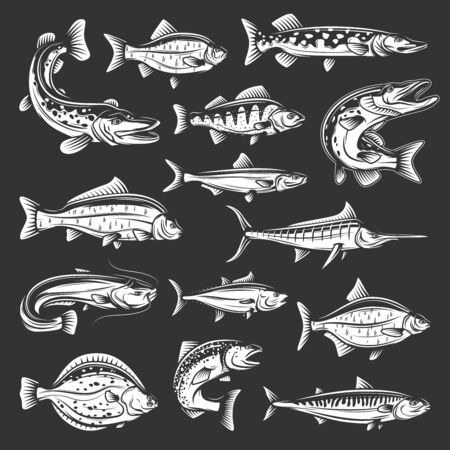 原画】『魚の王様』（絵画 パステル画 海 魚 鯛）