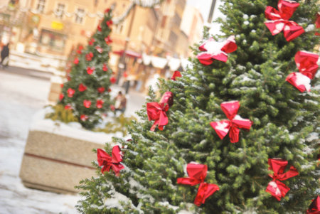 Large and natural outdoor christmas tree with red bows during a sunny day