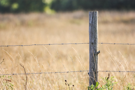 Old Barbed Wire Fence Old Barbed Wire Fence