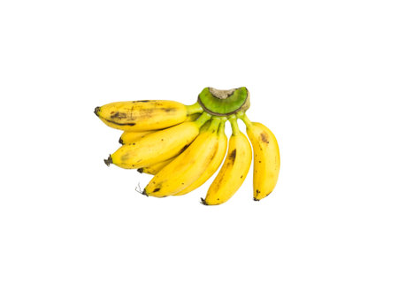 anti flammatory of banana flesh anti flammatory of banana flesh