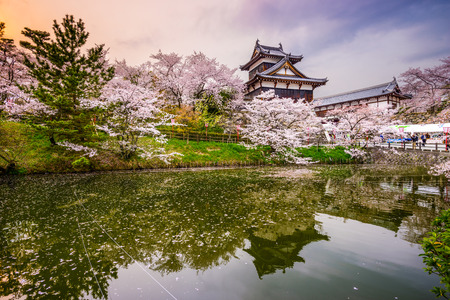 Nara, Japan at Koriyama Castle in the spring season - 42239747