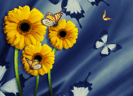 灰色の明るい花の菊の花の背景 穀物とフィルターを適用します の写真素材 画像素材 Image 灰色の明るい花の菊の花の背景 穀物とフィルターを適用します の写真素材 画像素材 Image