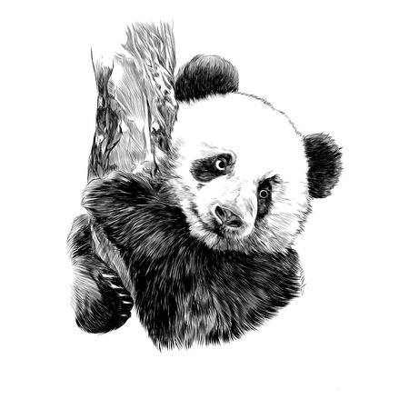 27 346 Pandabar Vektorgrafiken Cliparts Und Illustrationen Kaufen 123rf
