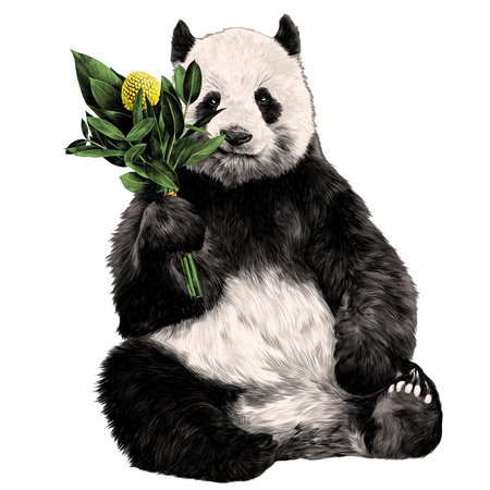 27 346 Pandabar Vektorgrafiken Cliparts Und Illustrationen Kaufen 123rf