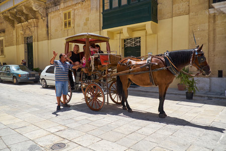 ドレスデン沿いの馬車に乗る ドイツ ヨーロッパ の写真素材 画像素材 Image