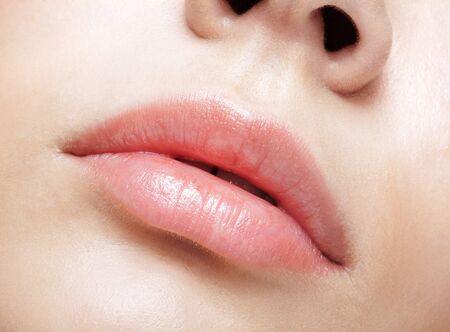 6 121 948 クローズアップ の写真素材 ストックフォト 123rf