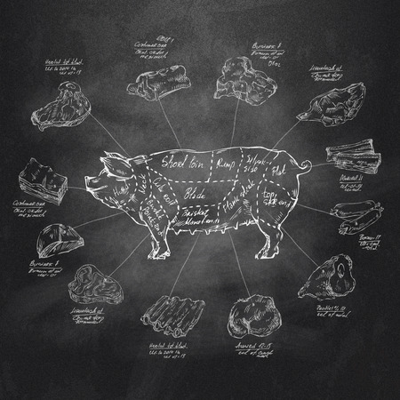 grilled pork: Định dạng Pig Vector